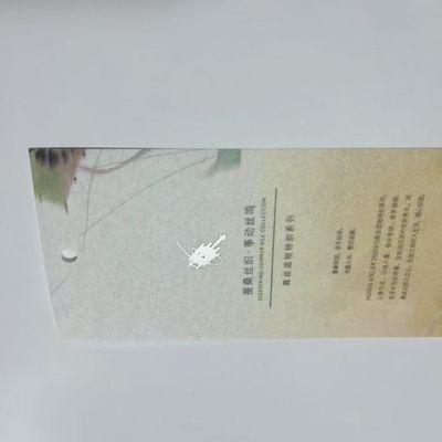 Compostable T Shirt Hang Tag Custom Clothing Swing Tags ODM