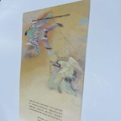 Compostable T Shirt Hang Tag Custom Clothing Swing Tags ODM